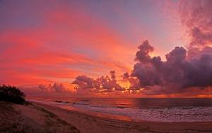 11903843_1021780967852338_8196902700816901363_n