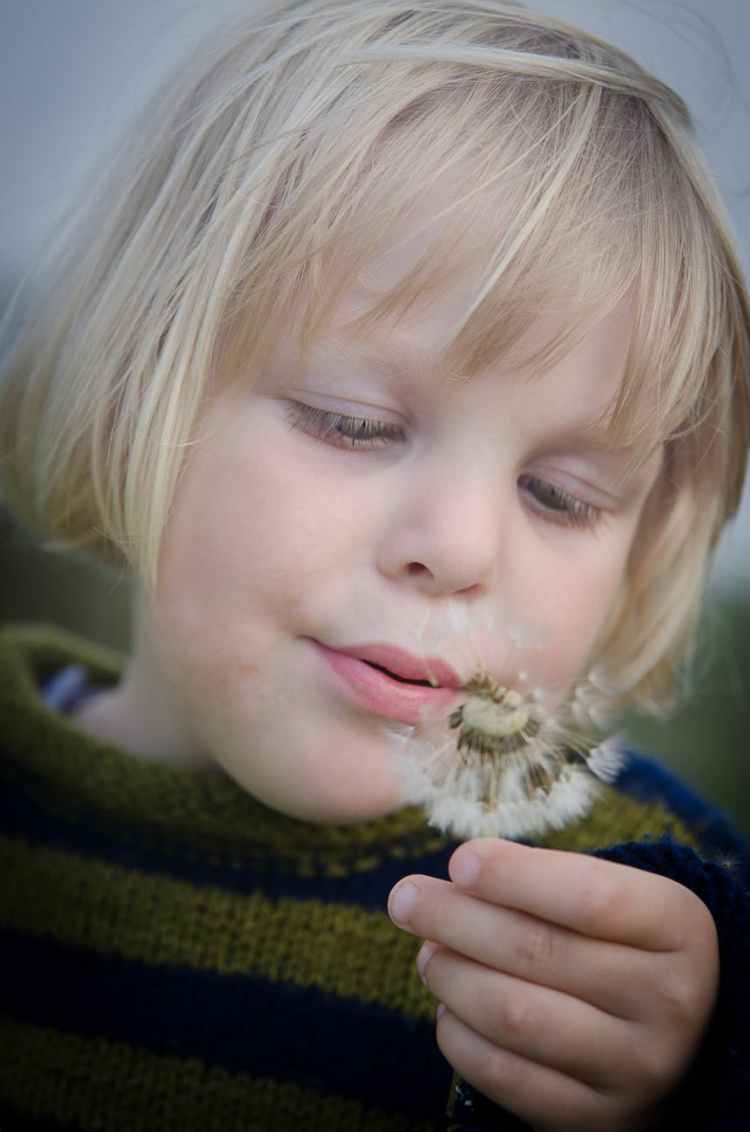 selective focus photography of girl in green and black striped sweater holding and blowing dandelion